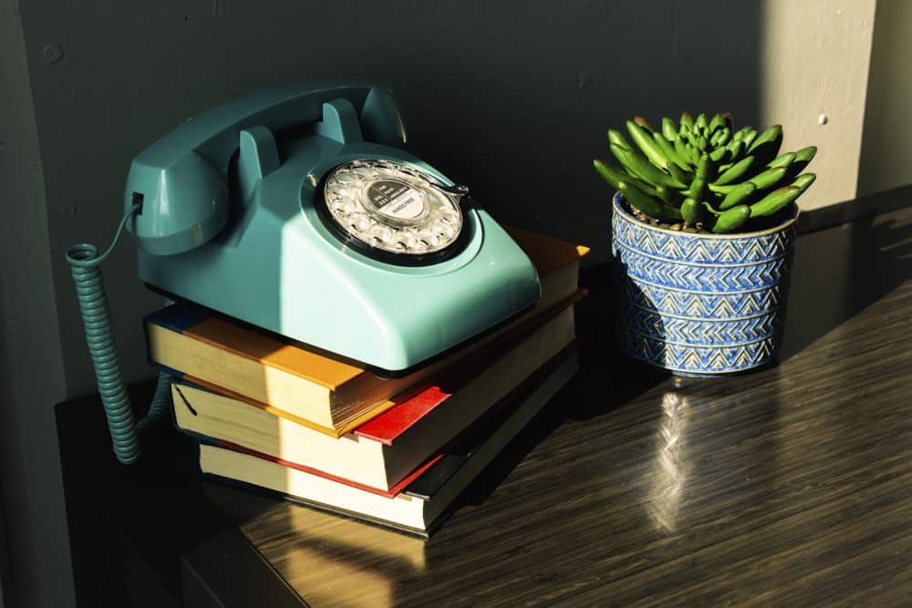 dial telephone on top of books next to a plant on top of desk